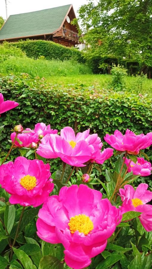 Apartman Relax In Nature Jajca Kültér fotó